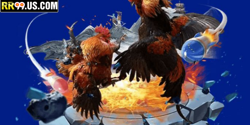 Gợi ý tiếp cận dành cho hội viên mới